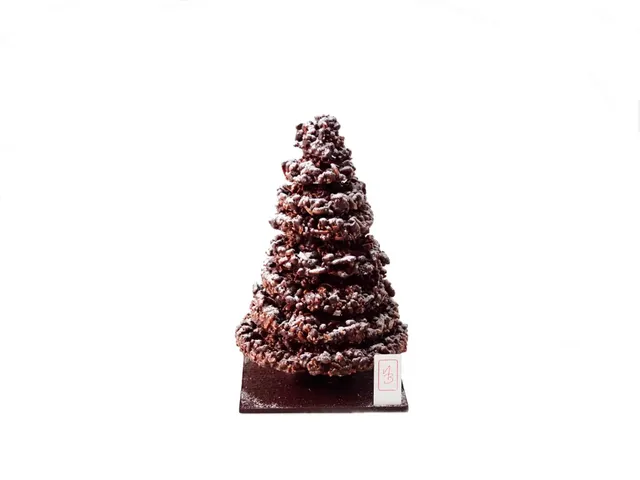 nicolas-bernard-sapin-de-no-l-chocolat-600g image 1