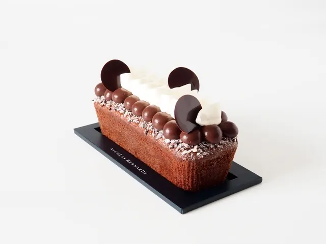 nicolas-bernard-cakissime-tout-chocolat-cake-500g-intense image 1